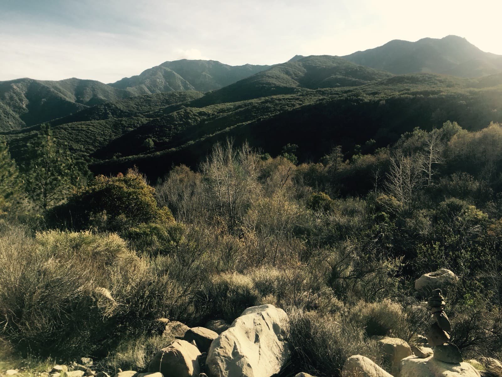 A sunlit hillside of chaparral and scrub running up to bare mountains