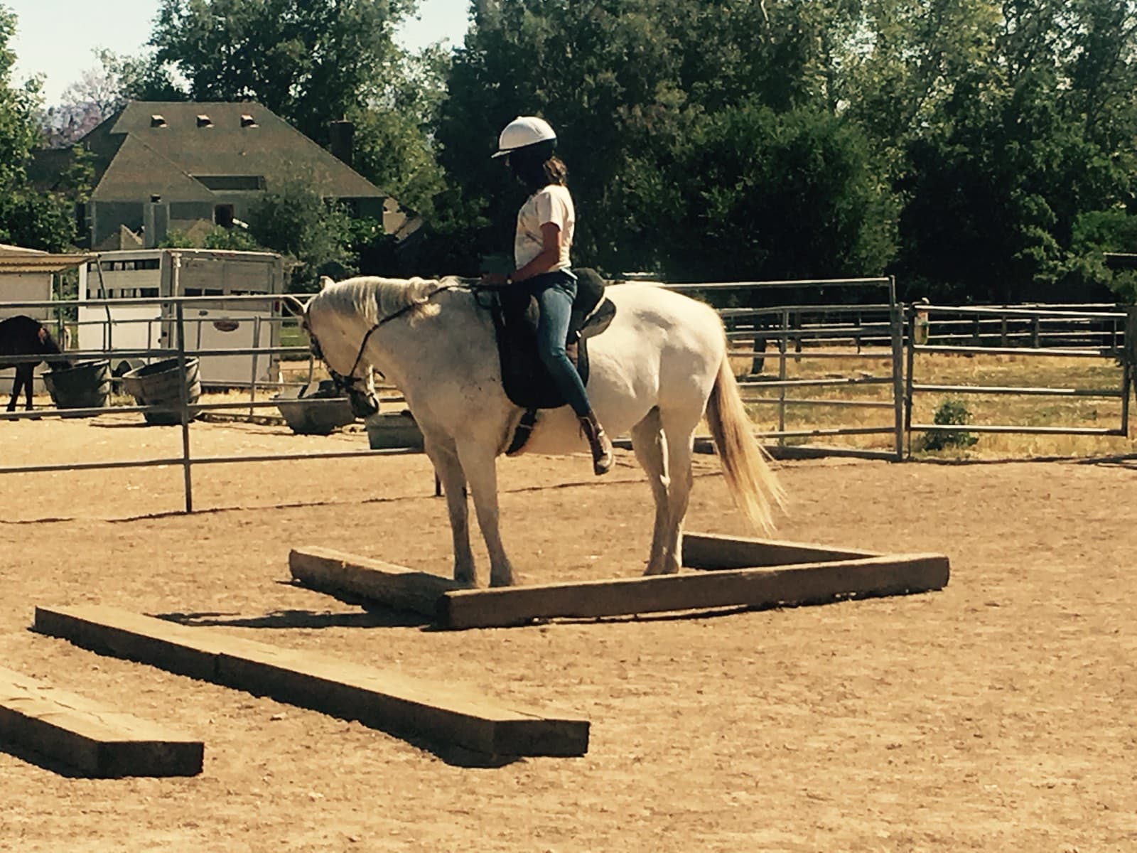 A rider on a white horse approaching a line of ground poles