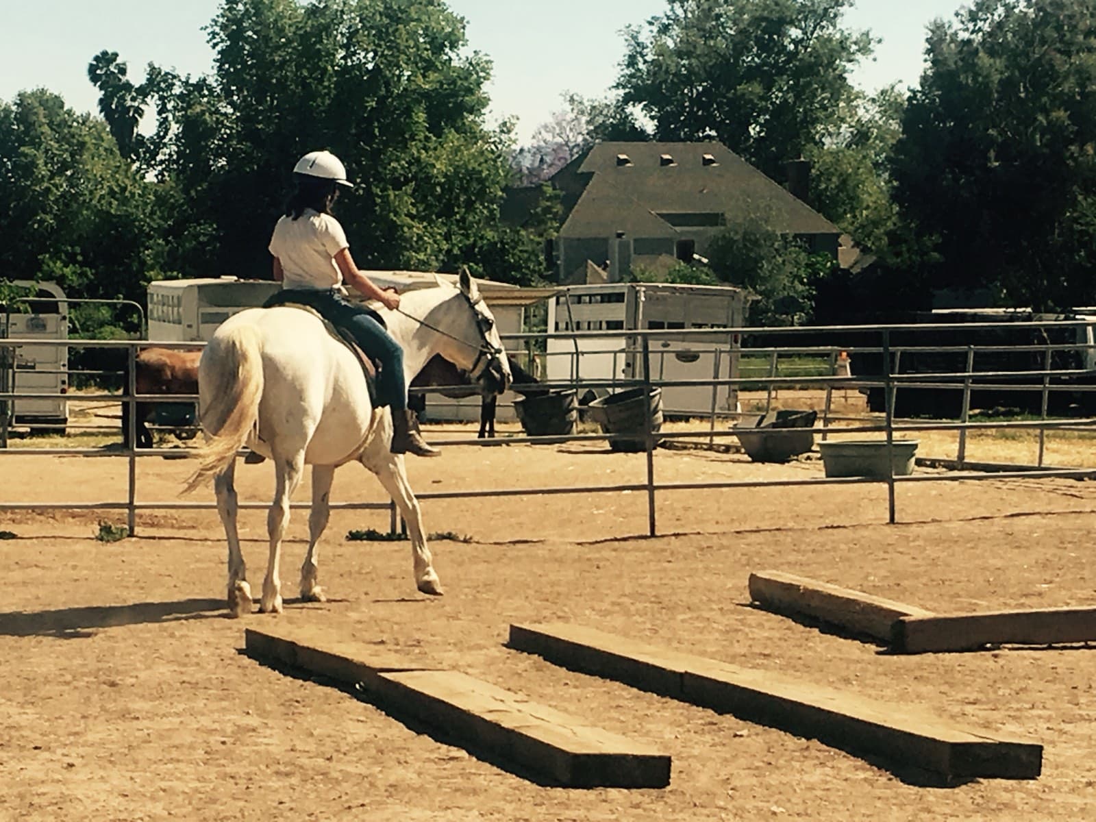 A rider on a white horse crossing the arena toward the rail