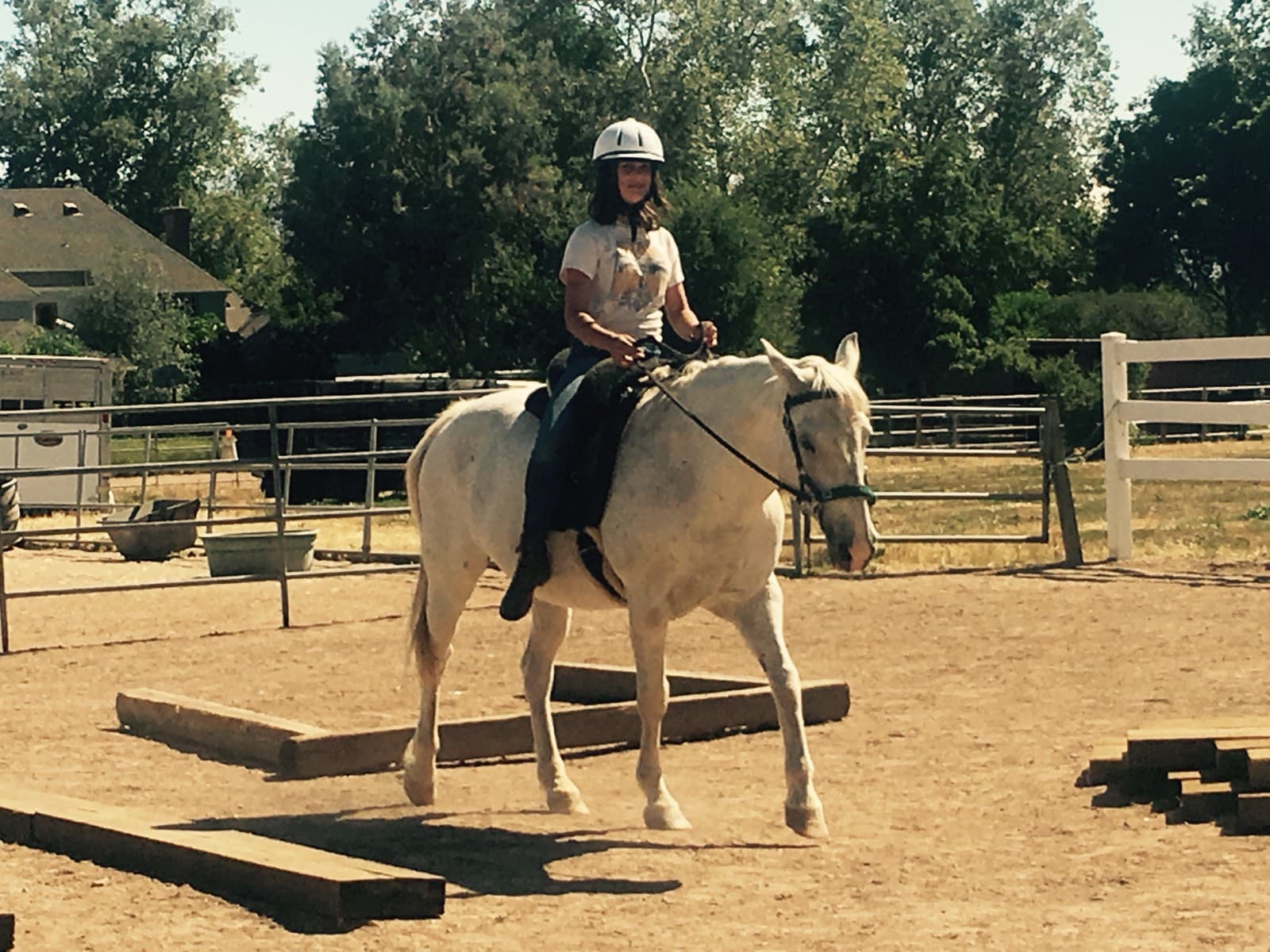 A rider on a white horse walking the length of the ground poles
