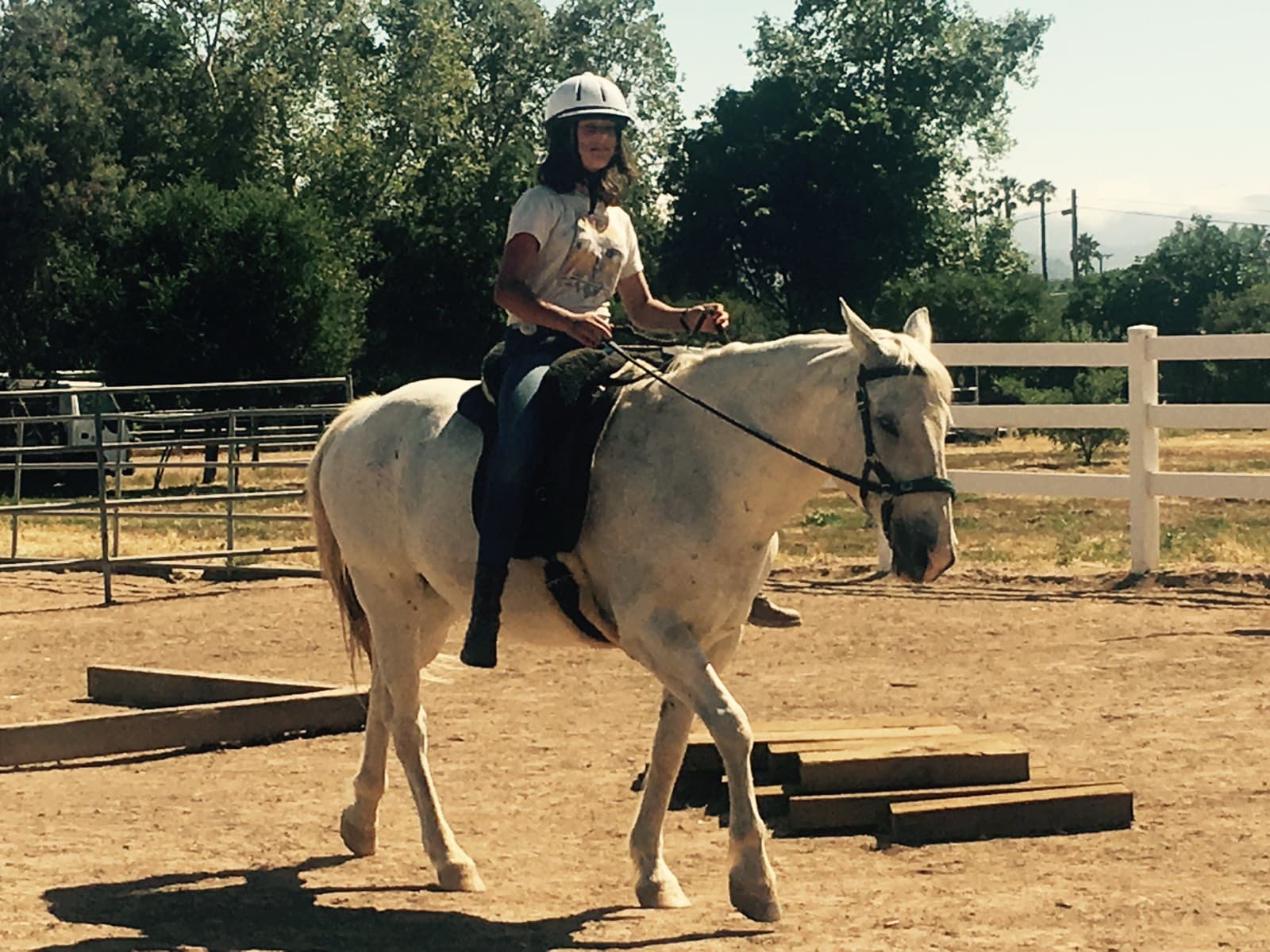 A young rider on a white horse in the arena beside a wooden obstacle