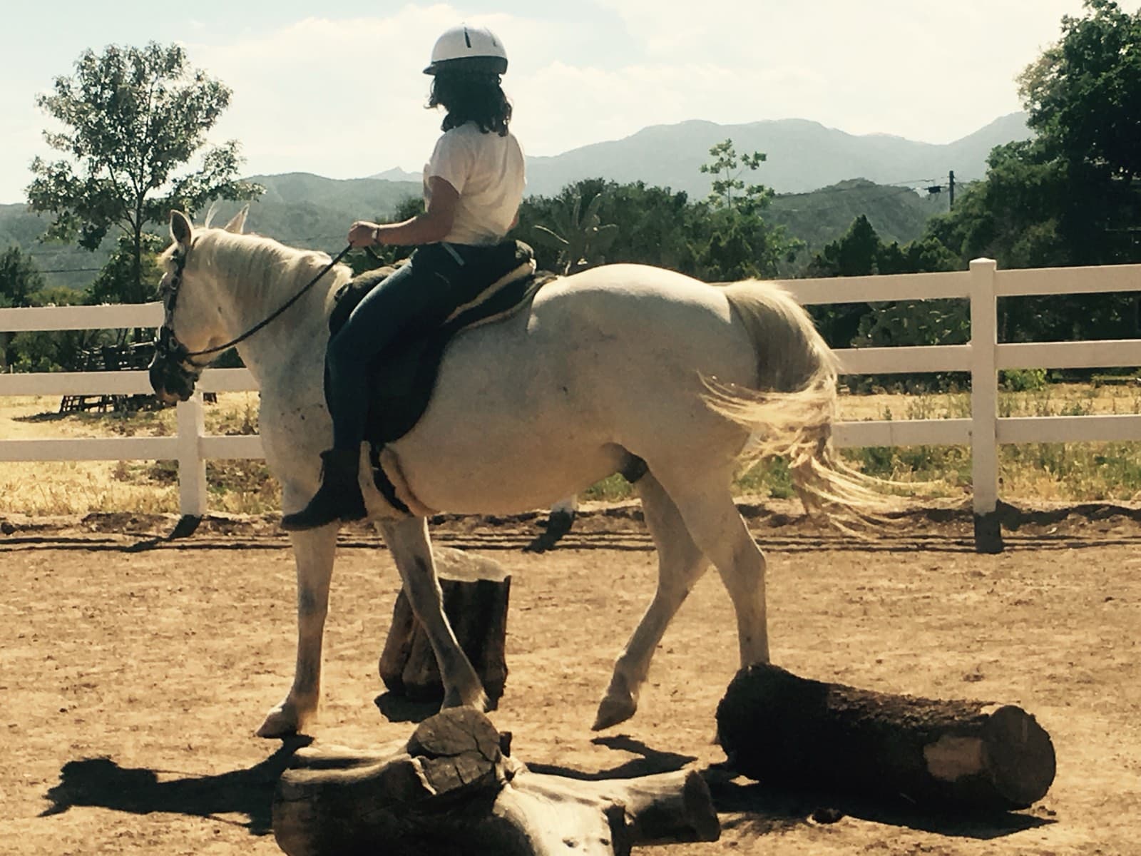 A rider on a white horse stepping over a log in the arena