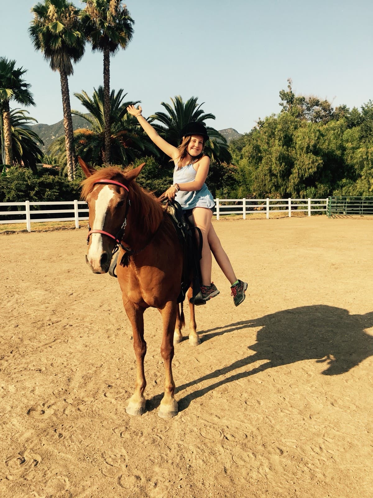 A rider stretching an arm up while mounted on a chestnut horse, palms behind
