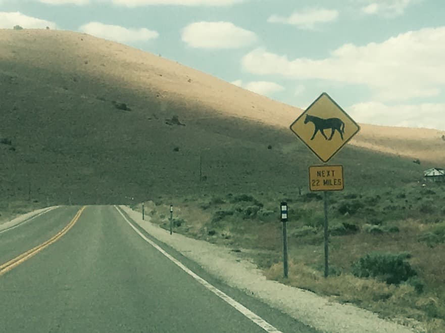A yellow horse-crossing sign marked Next 22 miles beside an empty highway through open hills