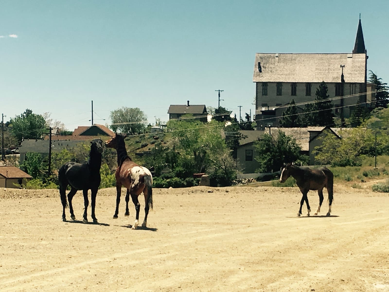 Three horses loose on a dirt lot, a tall stone church and hillside houses behind them