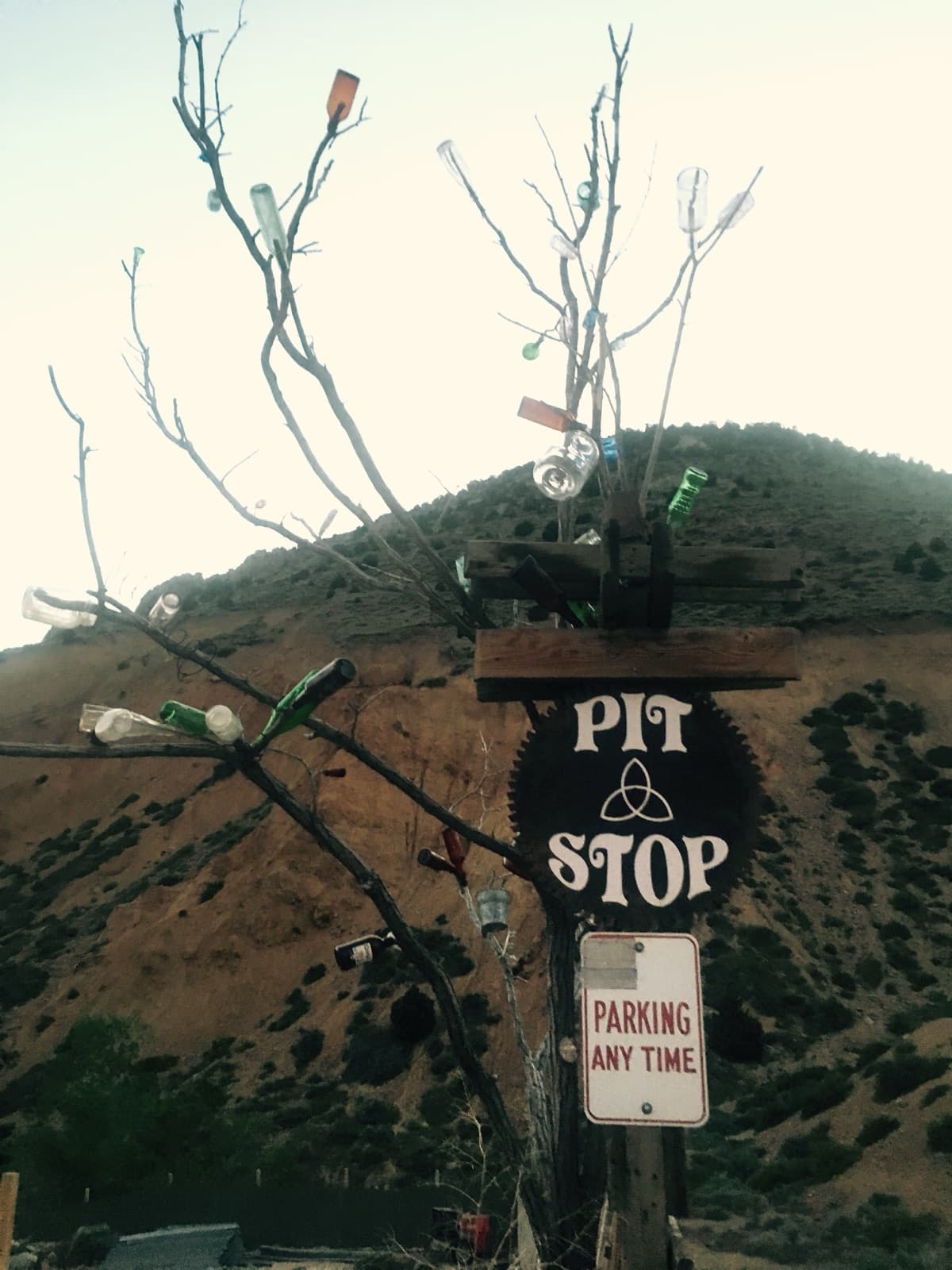 A bare bottle tree beside a round Pit Stop sign and a Parking Any Time sign, a dry hill behind