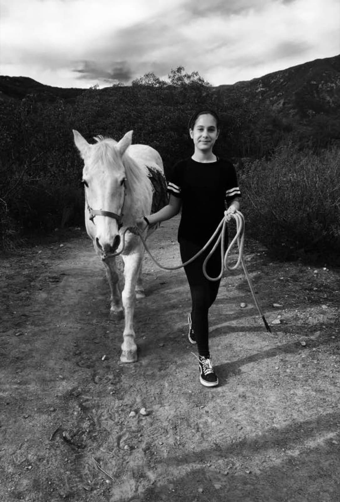 Pink Pony Ranch — ava luke