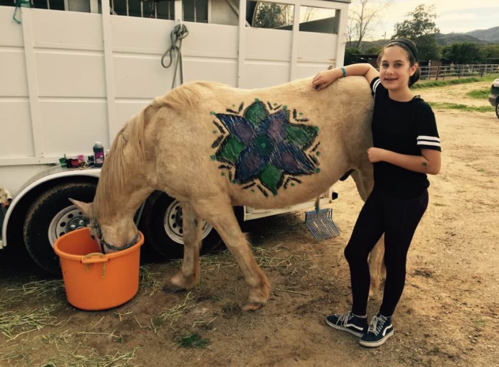 Pink Pony Ranch — ava luke