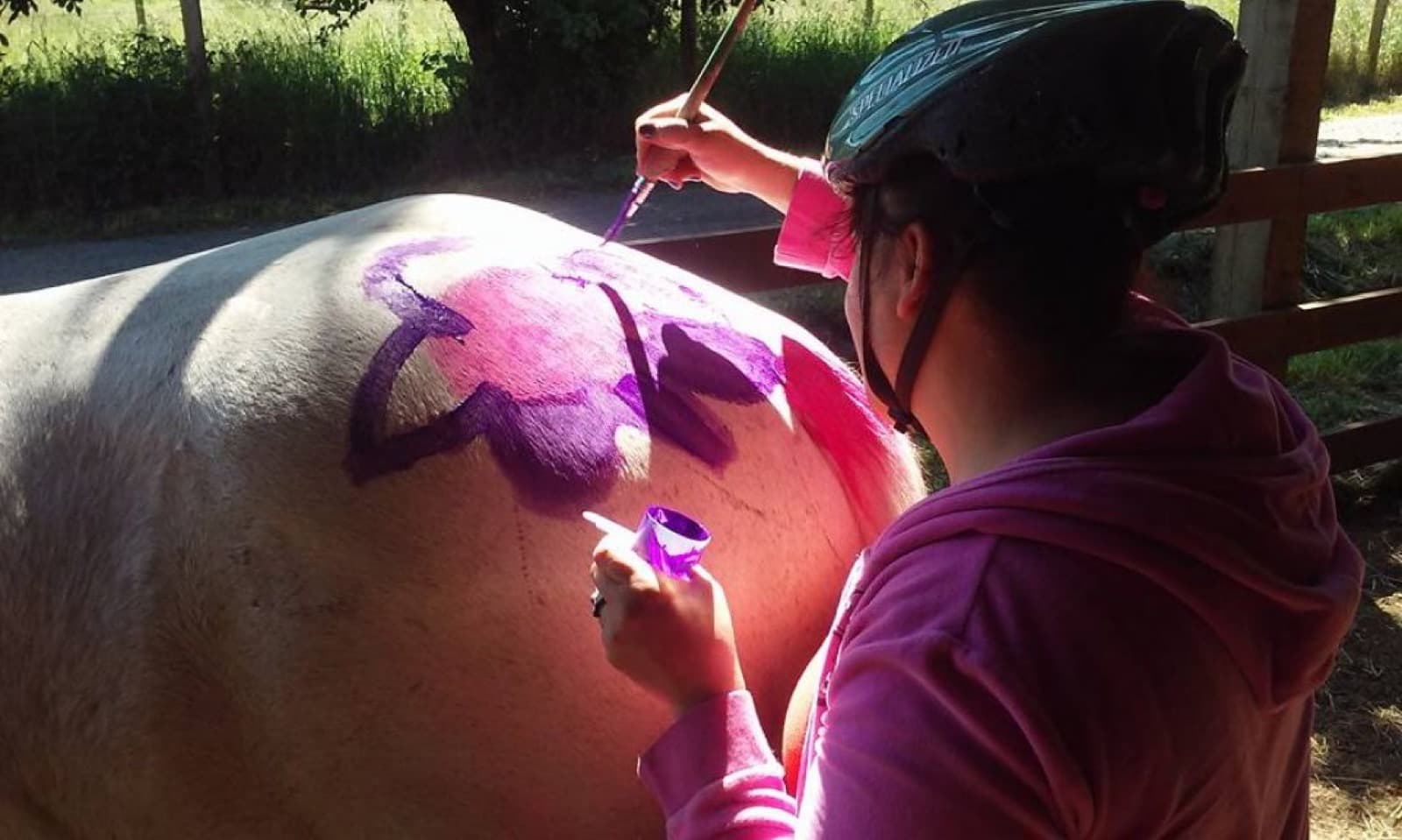 Pink Pony Ranch — luke farema