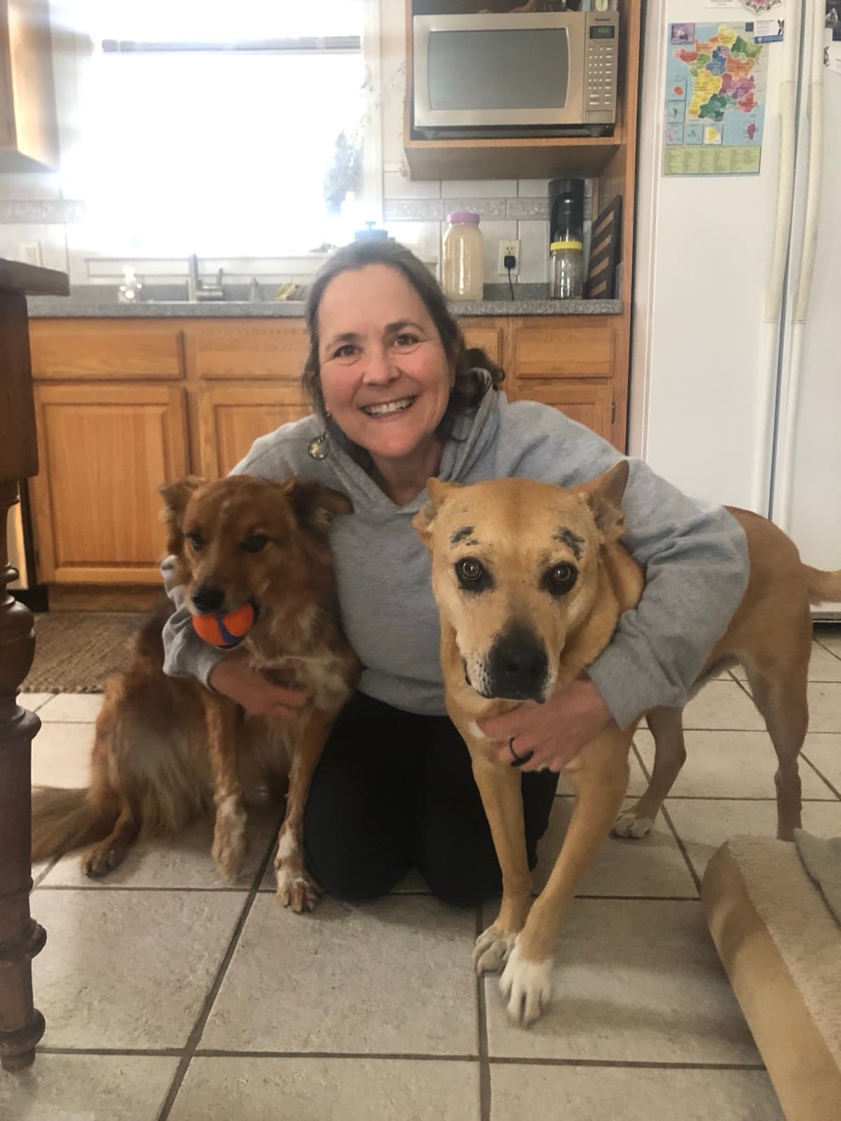 Pink Pony Ranch — dogs, ponies and guests
