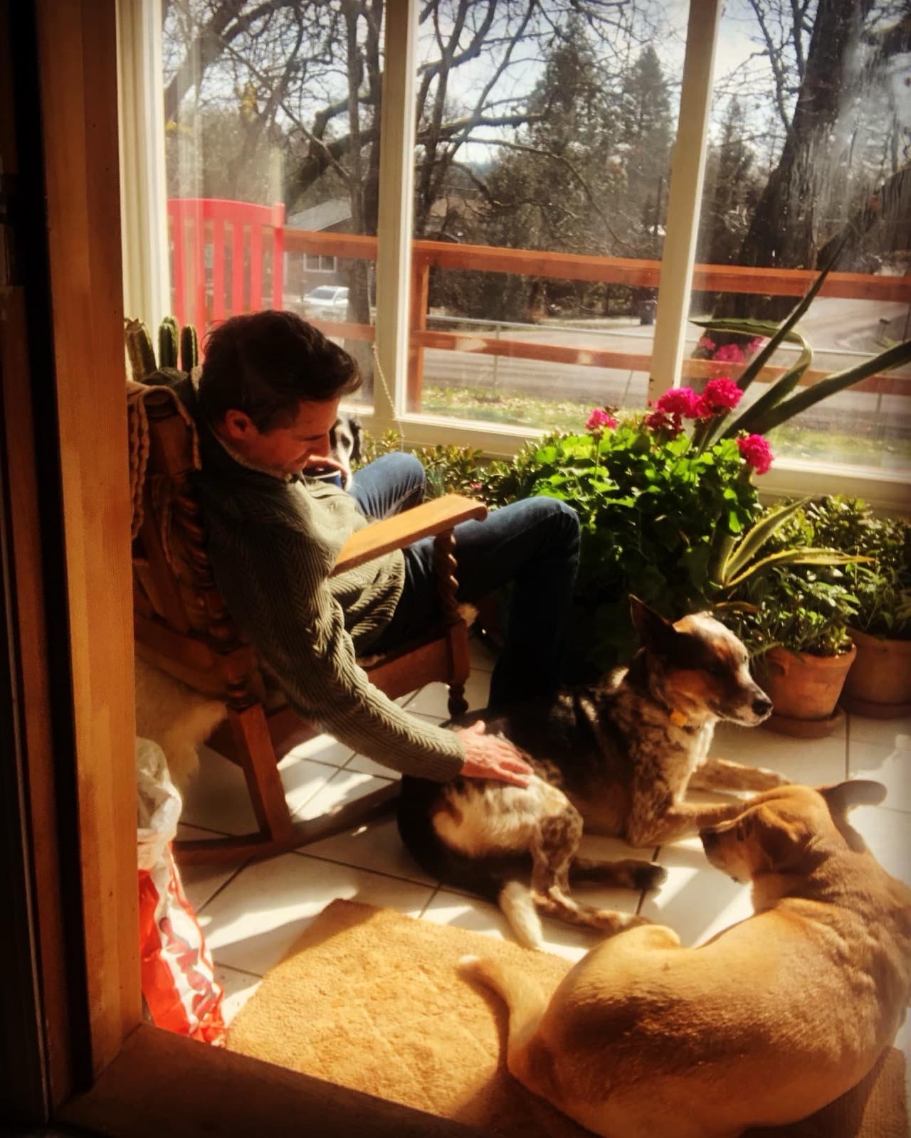 Pink Pony Ranch — dogs, ponies and guests
