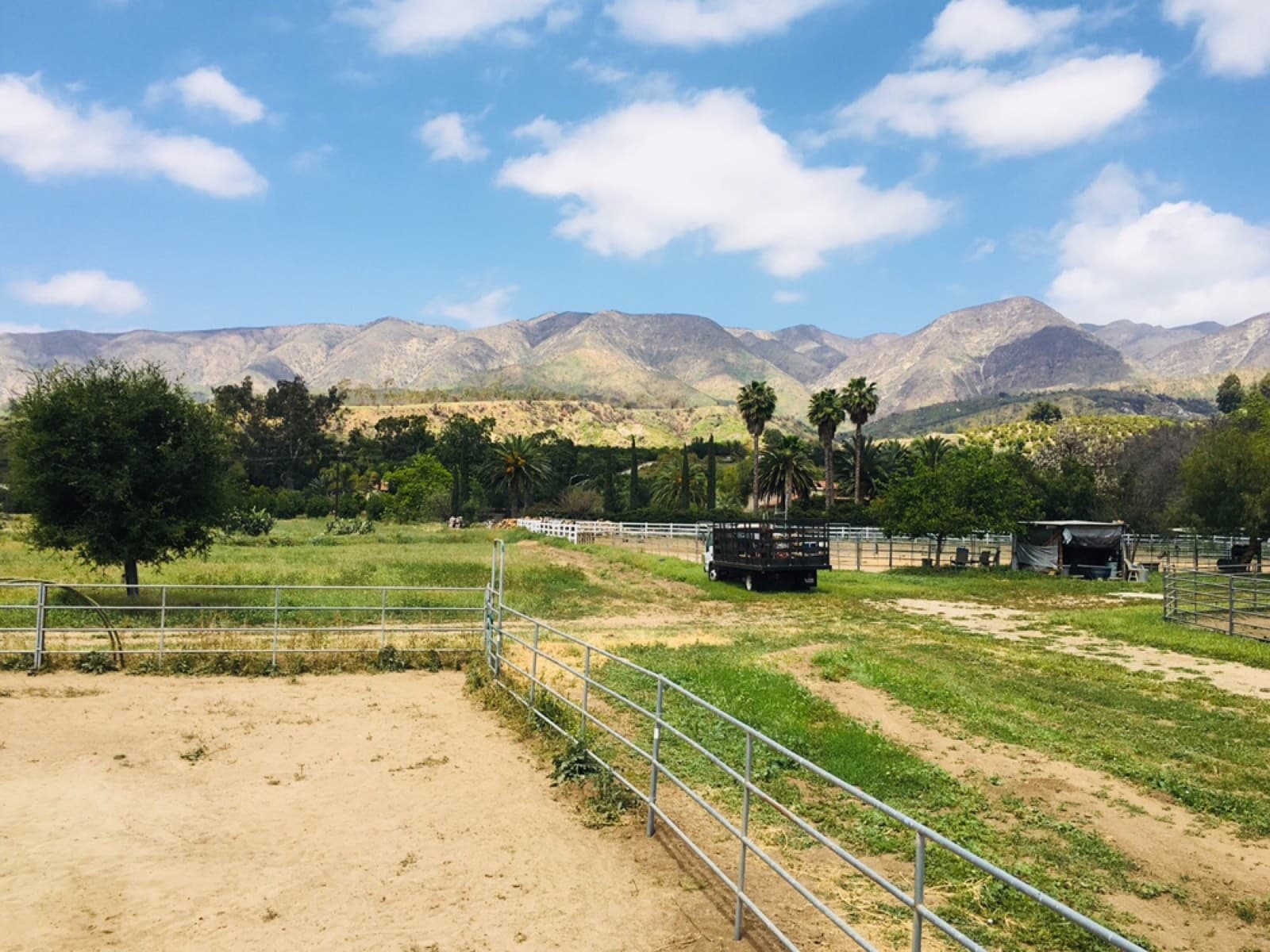 The Topatopa mountains rising behind green pasture, palm trees and pipe corrals in Ojai, California